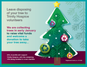Trees-Collection-2019-Web