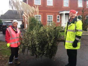 Tree-Collectors-2
