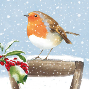 Robin in the Snow