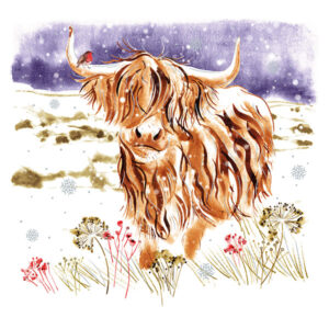 Snowy Highland Cow