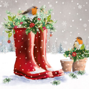 Robins on Wellies