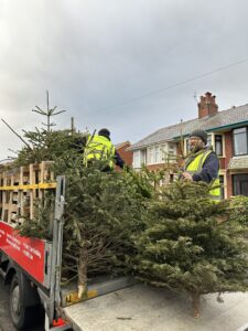 Christmas trees being loaded onto truck
