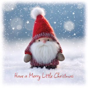 1. 'Little Santa' Christmas Cards