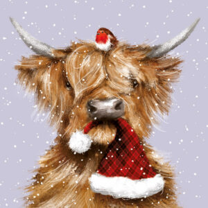 6. 'Bought Myself a New Hat' Christmas Cards