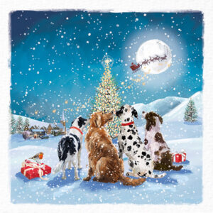 Have You Been Good? - Christmas Card