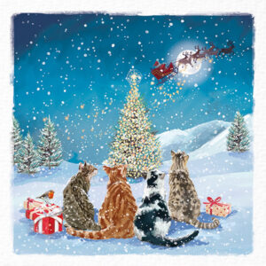 A Special Visitor - Christmas Card