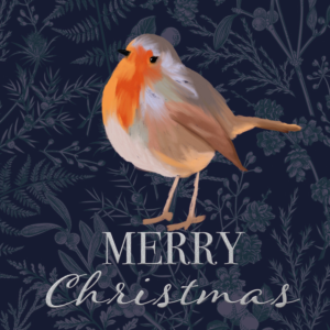Silver Robin - Christmas Card