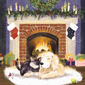 Cosy Cuddles - Christmas Card